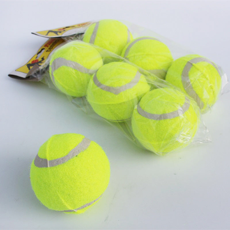 Automatic Pet Ball Throwing Machine