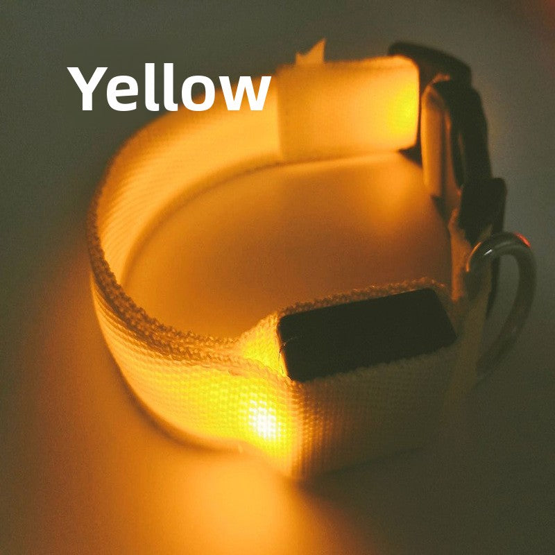 USB Rechargeable LED Pet Safety Collar