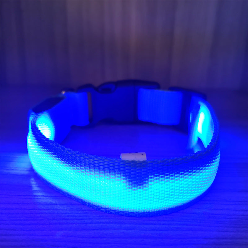 USB Rechargeable LED Pet Safety Collar