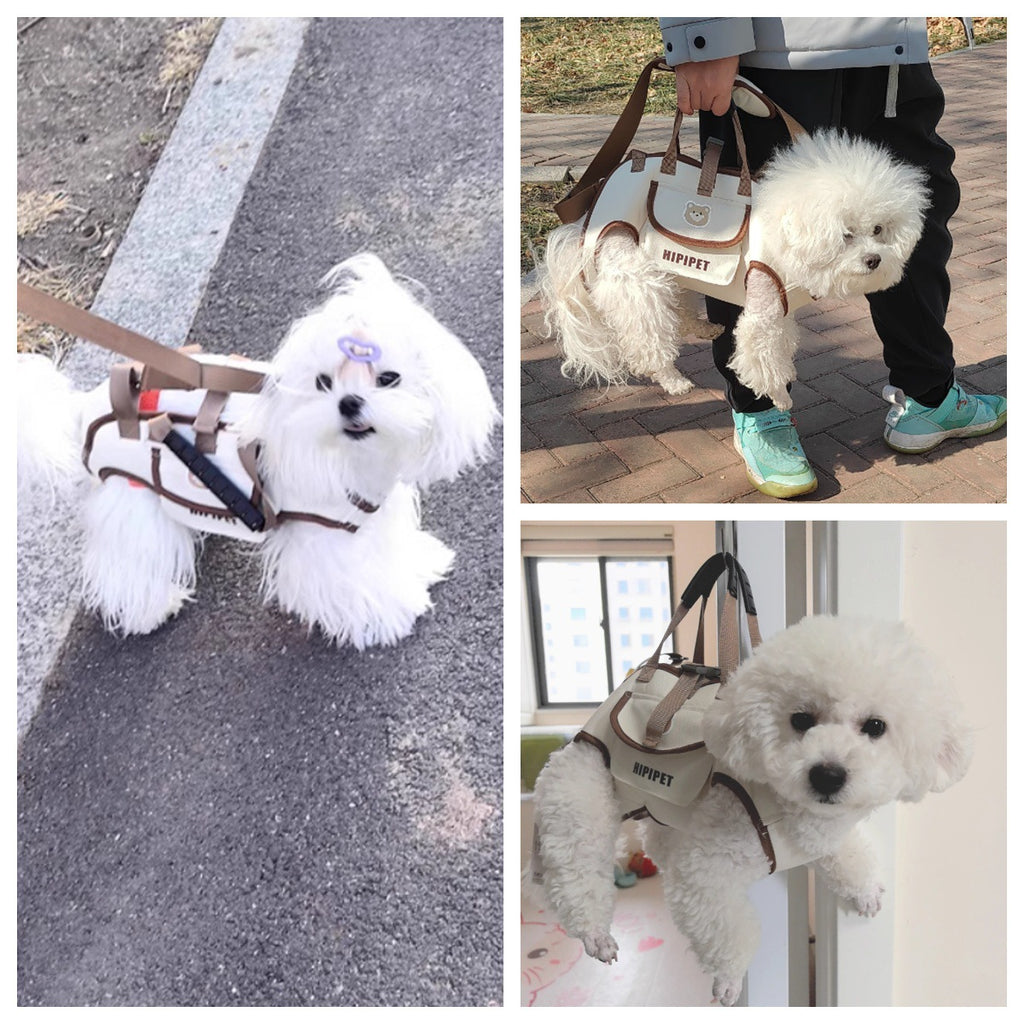 Convertible Pet Carrier Backpack with Leash Attachment
