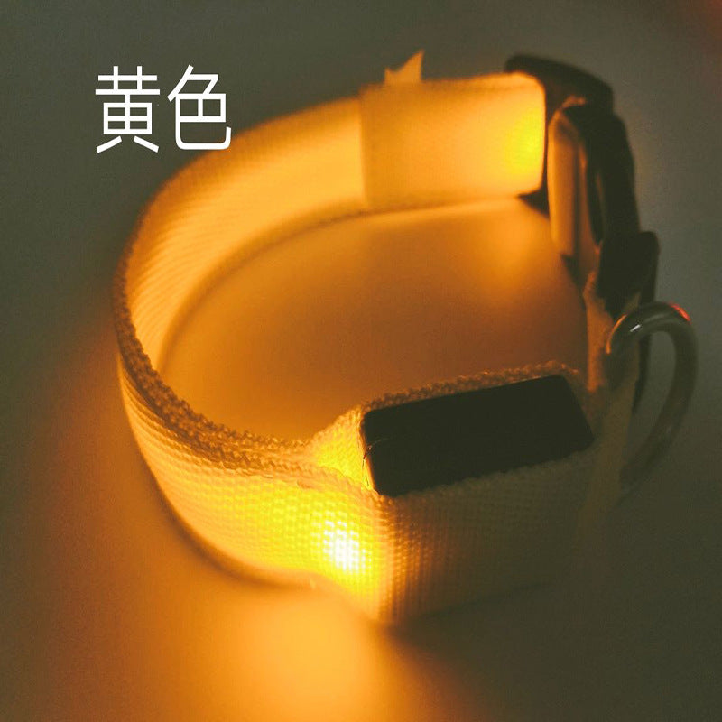 USB Rechargeable LED Pet Safety Collar
