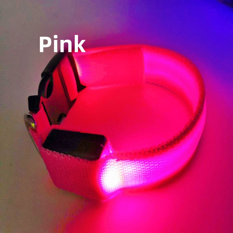 USB Rechargeable LED Pet Safety Collar