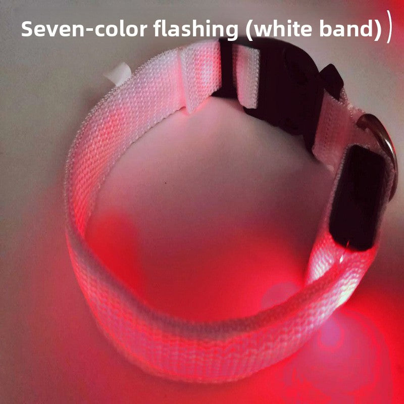USB Rechargeable LED Pet Safety Collar