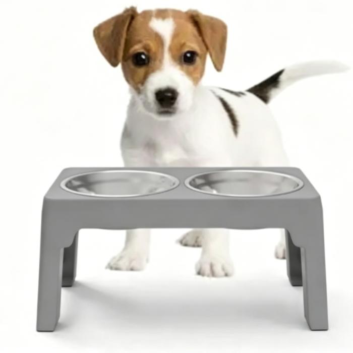 Pet Feeding Bowl