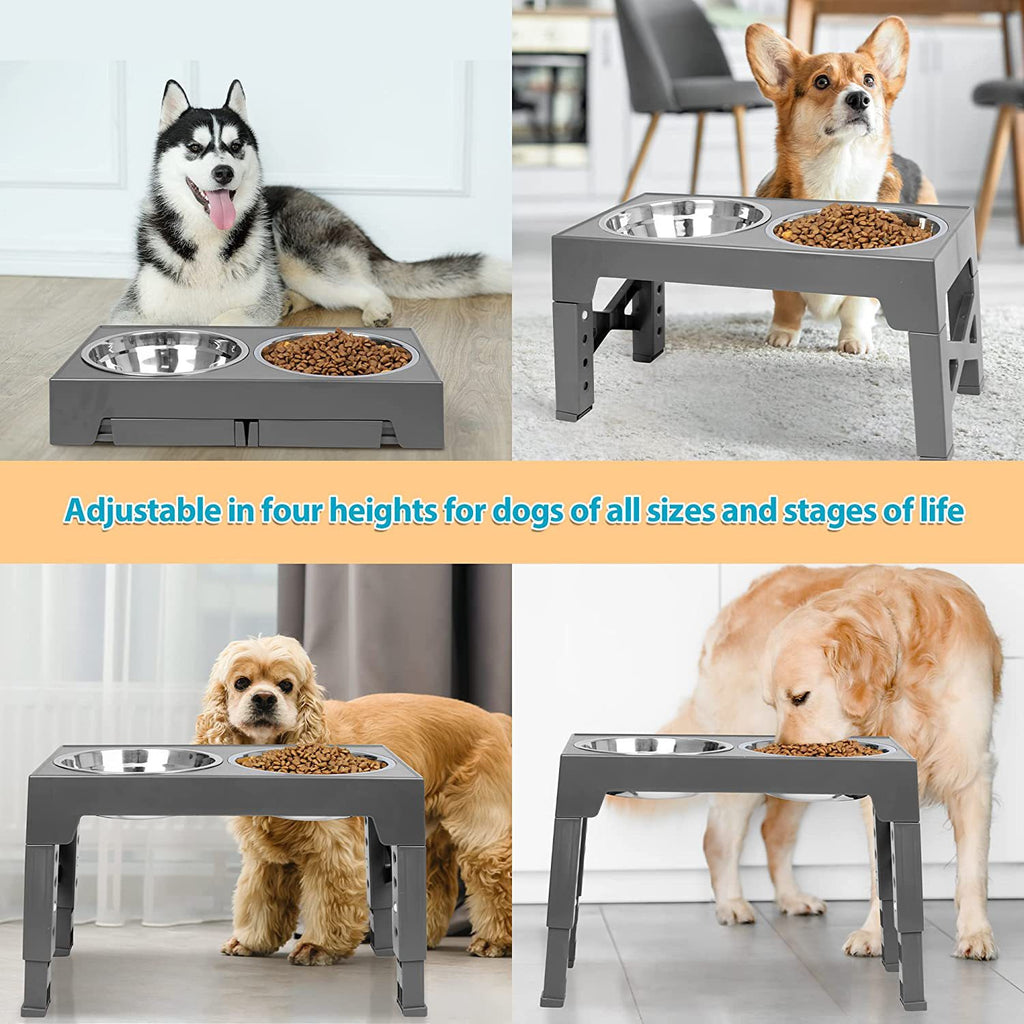 Pet Feeding Bowl