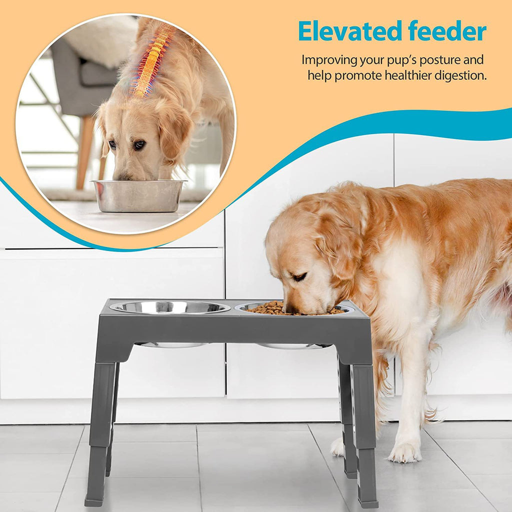Pet Feeding Bowl