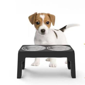 Pet Feeding Bowl