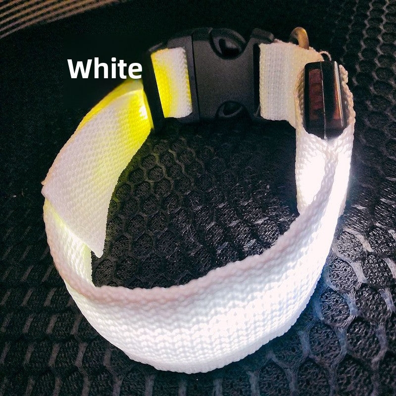 USB Rechargeable LED Pet Safety Collar