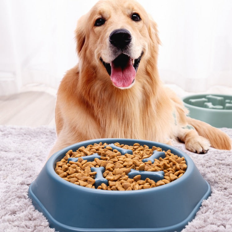 Slow Feeder Pet Bowl