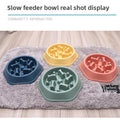 Slow Feeder Pet Bowl