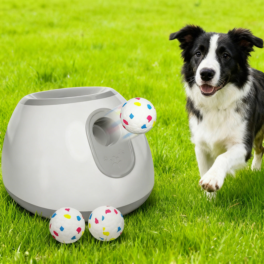 Dog Interactive Intelligent Ball-Throwing Machine